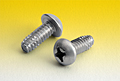 Phillips Pan Thread Cutting Screws Type F