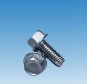 Indented Hex Washer Thread Cutting Screws Type F