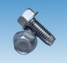 Indented Hex Washer Thread Cutting Screws Type F